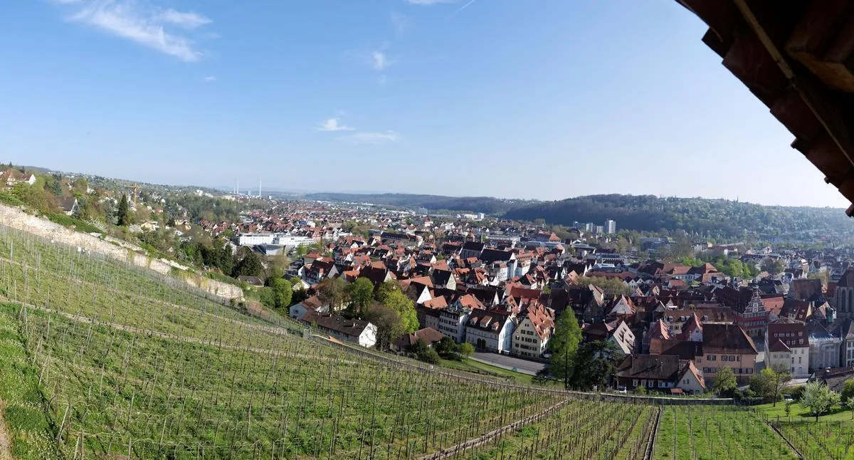 Blick von den Weinbergen über die Altstadt von Esslingen am Neckar