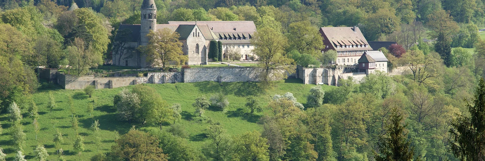 Luftbild von Lorch im Remstal mit dem Kloster über der Stadt