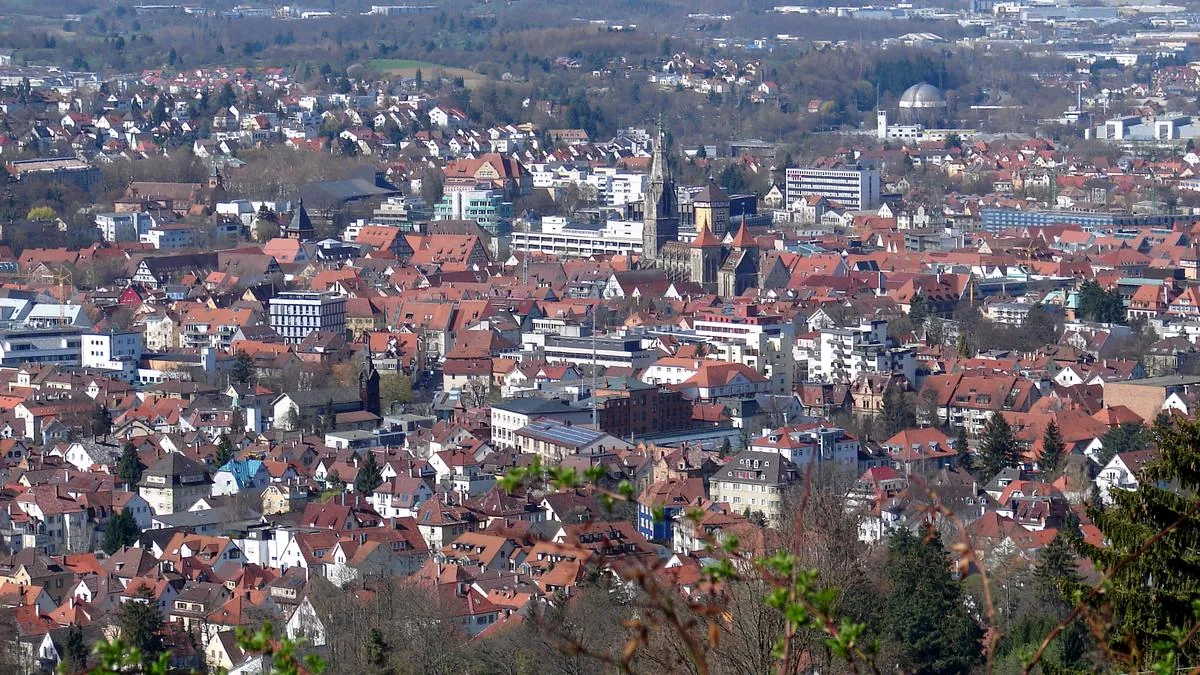 Blick von der Achalm über die Dächer von Reutlingen