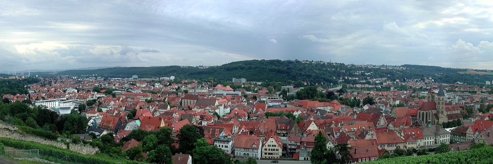 Blick von der Burg über die Esslinger Altstadt