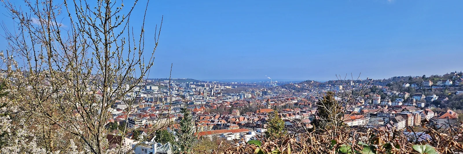 Blick von der Alten Weinsteige über die Stuttgarter Wohnlagen am Hang