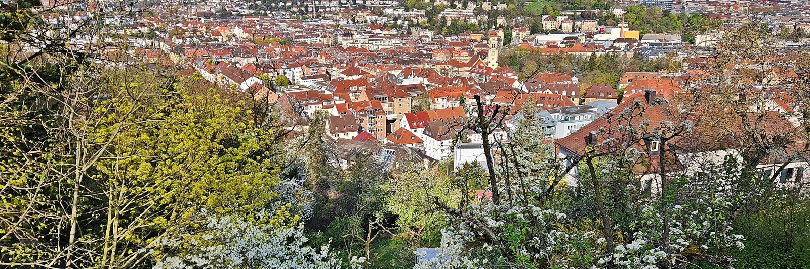 Blick von der Neuen Weinsteige über die Dächer der Stuttgarter Innenstadt